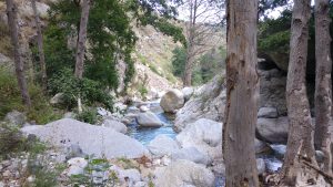 Scorcio del Torrente Vergari